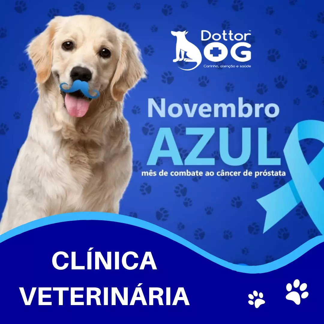 Cuidar da Saúde também é coisa de Macho, no novembro azul aqui da Clínica Veterinária Dottor Dog